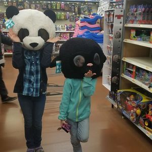 Meet your Posher, Shilo